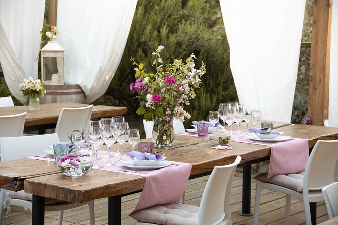Wine and food tasting in an organic family winery - Practical tips for a smooth Tuscan afternoon