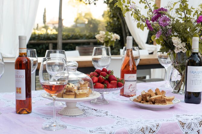 Wine and food tasting in an organic family winery - Should you book Casa Lucii in San Gimignano?