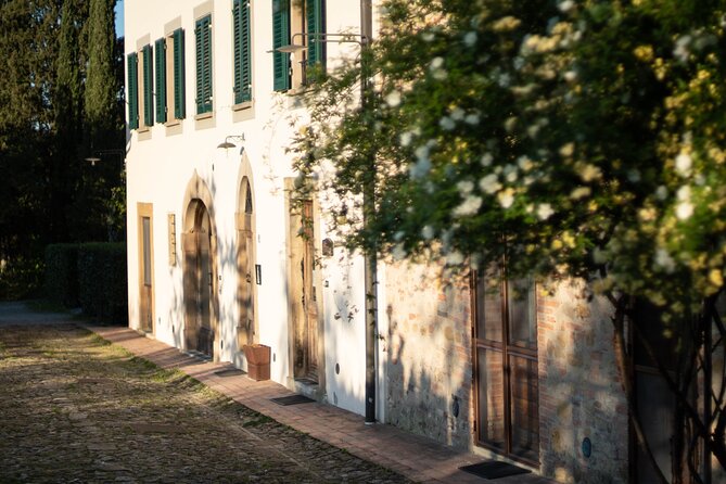 Wine and food tasting in an organic family winery - The eight organic wines: what you’ll taste and why it matters