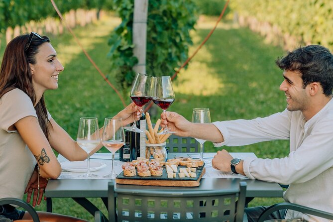 Wine and Food Tasting in the Vineyards in Lazise - Key Highlights You’ll Care About