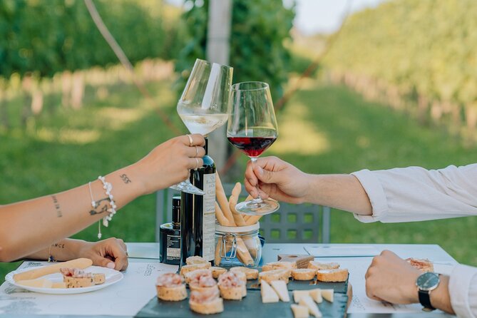 Wine and Food Tasting in the Vineyards in Lazise - How the Pairing Works: Salami, Cheese, Bruschetta, and Garda Olive Oil
