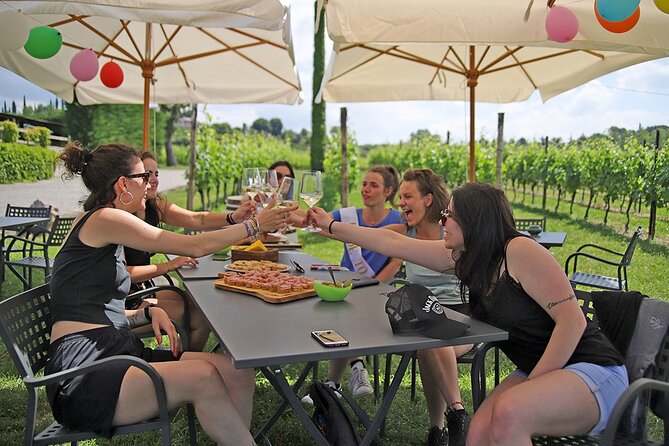 Wine and Food Tasting in the Vineyards in Lazise - Vineyard Time: Views, Vine Rows, and a Unique Seating Spot