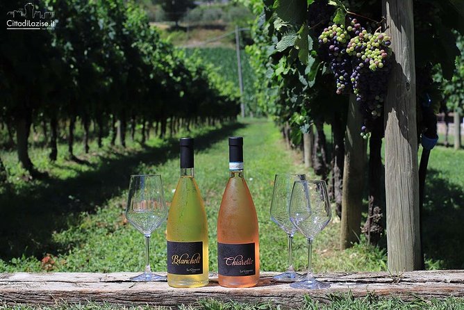 Wine and Food Tasting in the Vineyards in Lazise - Learning Without Being Overwhelmed: How Grapes Become Wine