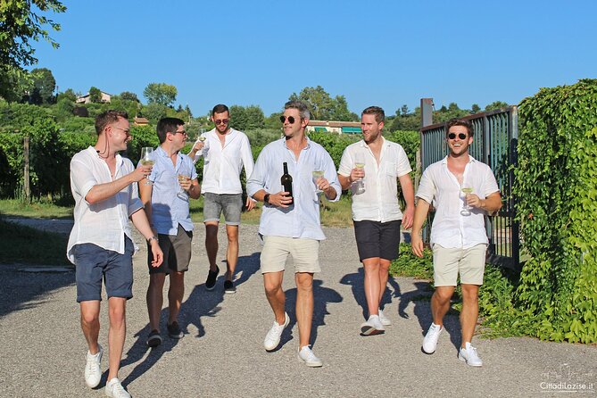 Wine and Food Tasting in the Vineyards in Lazise - The 2-Hour Flow: What You’ll Do and How to Plan Your Evening