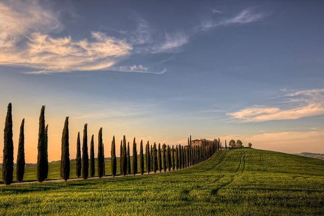 Wine Experience In Chianti Hills from Florence - Buying Wine and Gourmet Treats Without Carrying Stress