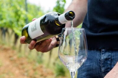 Wine Experience in farm vineyard & winery from Montecatini T. - The Pickup and the 4-Hour Rhythm (Why Time Feels Right)