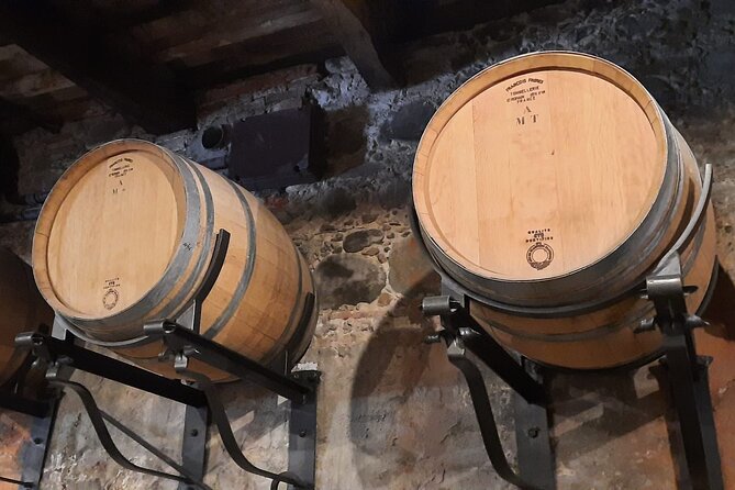 Wine Experience in farm vineyard & winery from Montecatini T. - Who This Tour Is Best For (and Who Should Skip It)