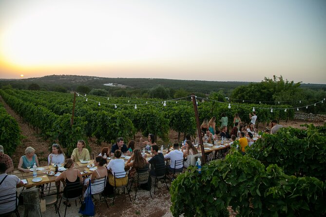 Wine Experience: vineyard, wines and food - Vineyard-to-table in Martina Franca’s Itria Valley