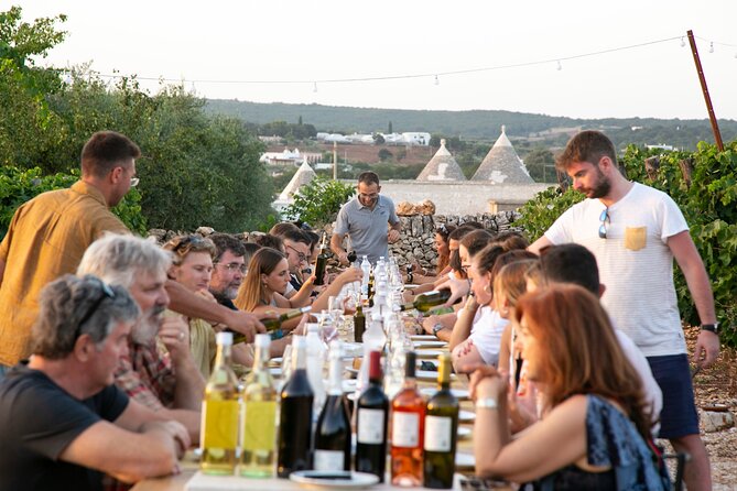 Wine Experience: vineyard, wines and food - Walking the vines: the wine story you’ll actually remember
