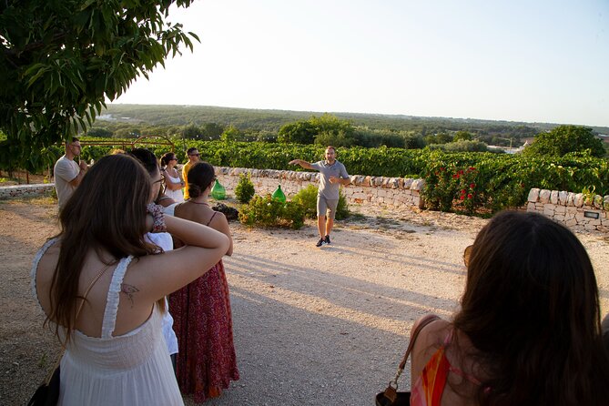 Wine Experience: vineyard, wines and food - Four wines in the Itria Valley: vineyard view or stone tavern