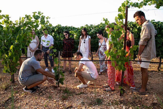 Wine Experience: vineyard, wines and food - Practical logistics that matter (especially getting there)