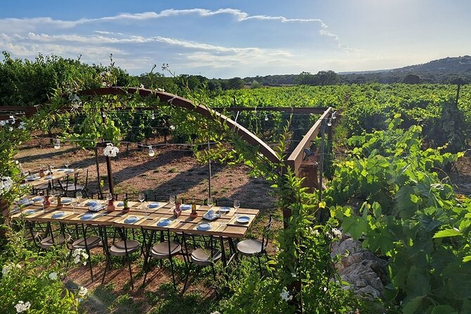 Wine Experience: vineyard, wines and food - Who should book this wine and food evening