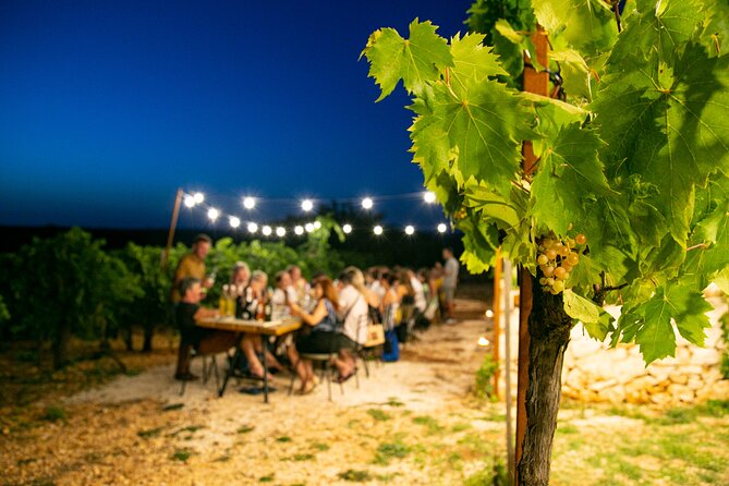 Wine Experience: vineyard, wines and food - Starting at Trulli il Castagno: where the evening begins