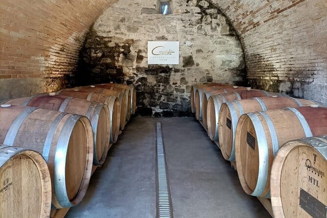 Wine Tasting Experience in Ponte Vecchio: Best Tuscany selection! - Who This Wine Tasting Suits Best in Florence