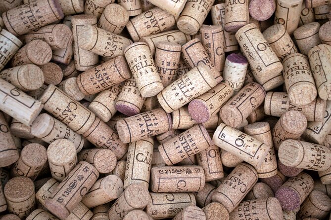 Wine tasting THE CLASSICS - Price and value: does $60.49 make sense?