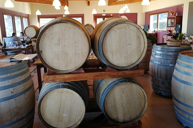 Wine Tasting Tour from Taormina - Volcanic soil on Etna: the flavor lesson you’re paying for