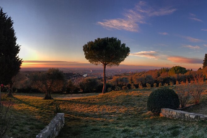 Wine Tasting with Panoramic View of Verona - Entering Cantina Giovanni Ederle: The Vineyard-to-Winery Flow