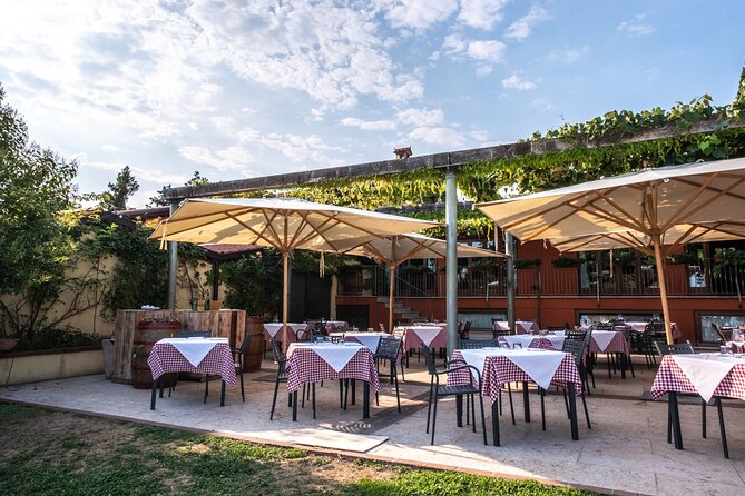 Wine Tasting with Panoramic View of Verona - Language, Pace, and Group Size: How It Actually Feels
