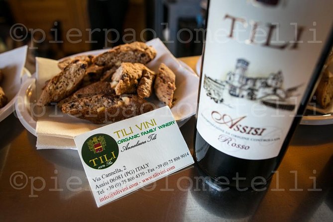 Winemaker for a Day: Tour an Organic Winery - The vineyard and olive grove walk: why it matters