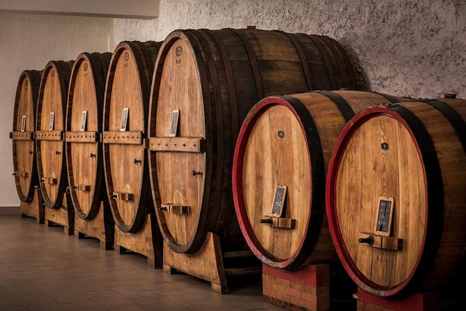 Winemaker for a Day: Tour an Organic Winery - Food pairings you can actually taste: bruschette, cheeses, and tozzetti