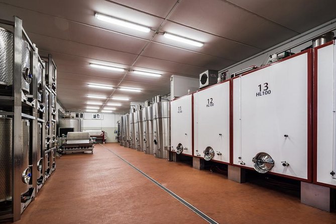 Winemaker for a Day: Tour an Organic Winery - Value in Assisi: why $47.17 feels fair for this set-up