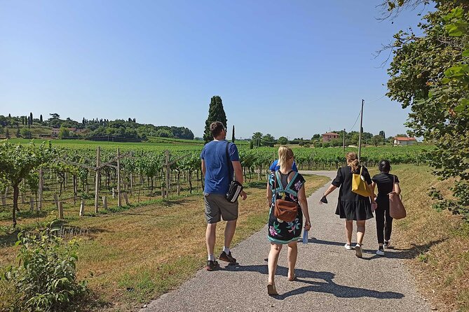 Winery Tour and Tasting of Garda Wines in Lazise - Getting to Bergamini Vini: the Colà meeting point matters