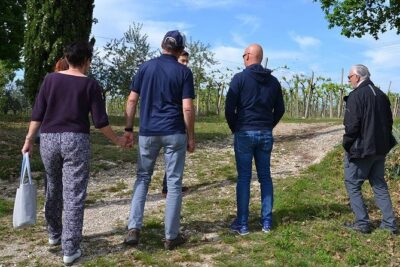 Winery Tour and Tasting of Garda Wines in Lazise - The 20+ hectare vineyard tour: what makes Bergamini different