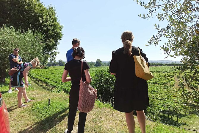 Winery Tour and Tasting of Garda Wines in Lazise - The bilingual (or trilingual) reality: English is offered, but sessions may mix