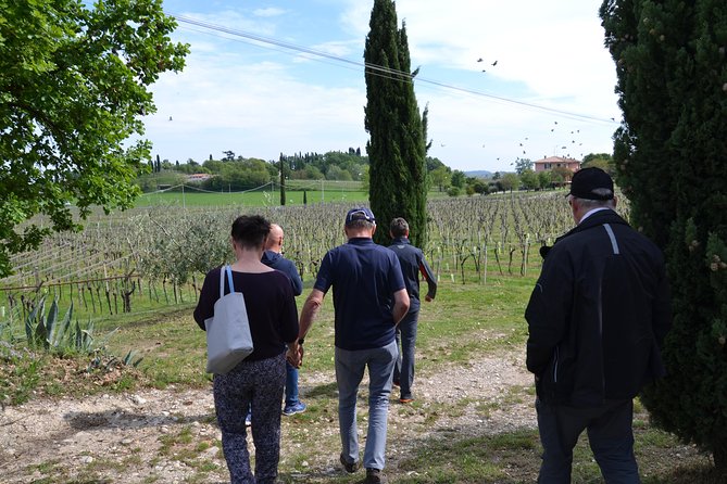 Winery Tour and Tasting of Garda Wines in Lazise - Time, group size, and pacing: two hours that don’t drag